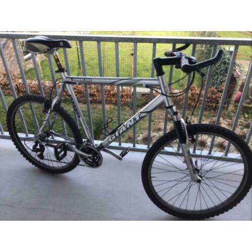 Giant Mountainbike