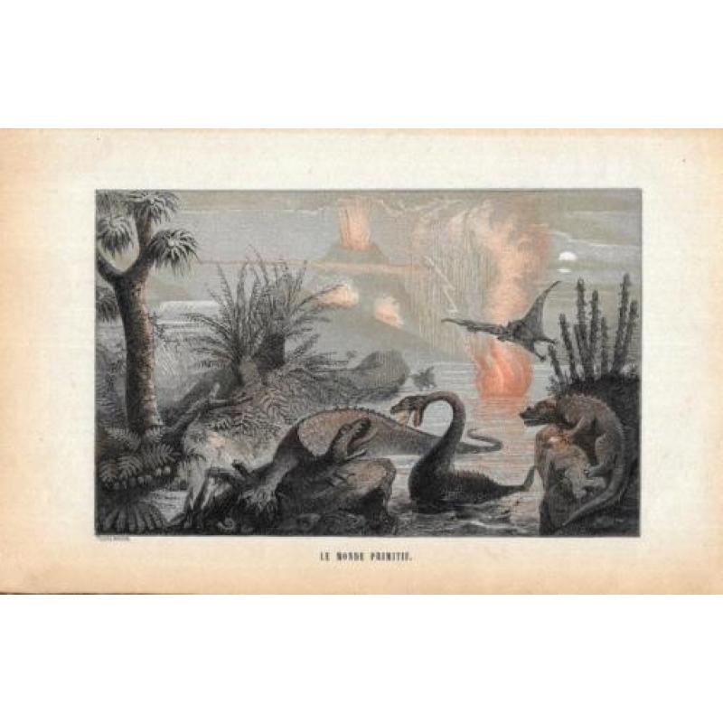 Dr. W.F.A. Zimmermann ~Le monde avant la création de l'homme