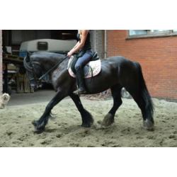 Prachtige lieve tinker