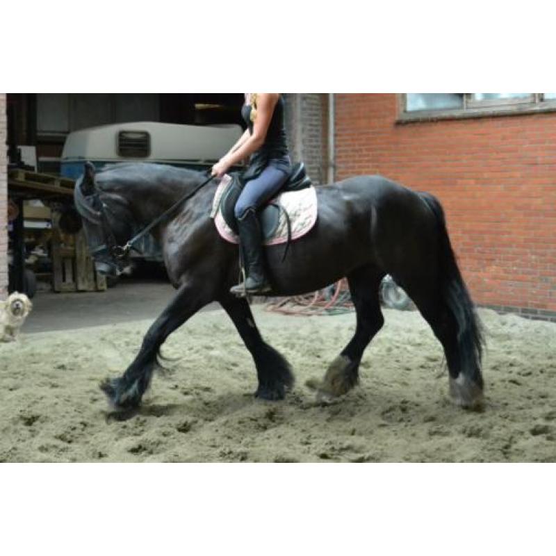 Prachtige lieve tinker