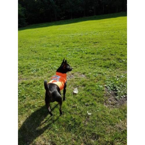 Lief Reutje