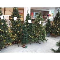 Kerstboom Groen 215 cm (showmodel) kerstboom 176