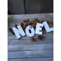 Bastion Collections Kerst Noël letters RvS wit
