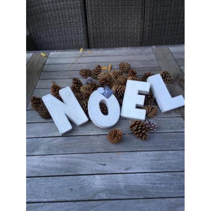 Bastion Collections Kerst Noël letters RvS wit