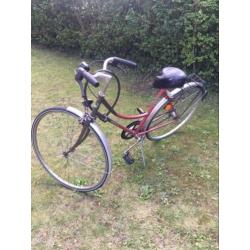 Fiets, Horloge, Pet