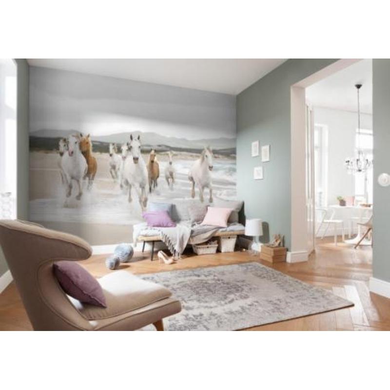 Paarden fotobehang Shire, Paarden vliesbehang strand