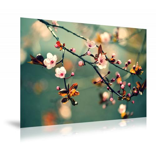 Fotoafdruk Mat 100x150