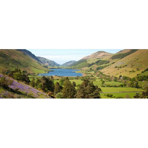 The Cambrian Way
